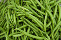 Contender Green Bean Seeds - Fresh Green Bean Seeds for Planting - Phaseolus vulgaris - Free Shipping