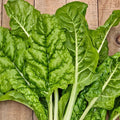 Fordhook Giant Swiss Chard Seeds - 50+ Non-GMO Heirloom Organic Seeds - Perfect for Home Gardening