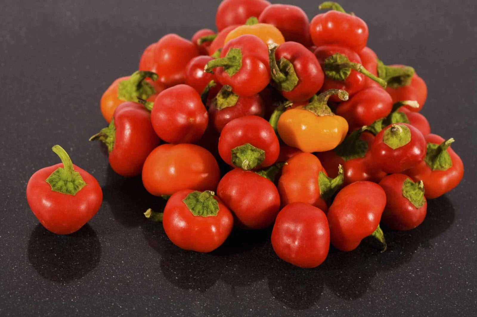 Pimento Red Pepper Seeds - 5000 Count - Capsicum annuum - Garden Vegetable Seeds for Planting, Non-GMO