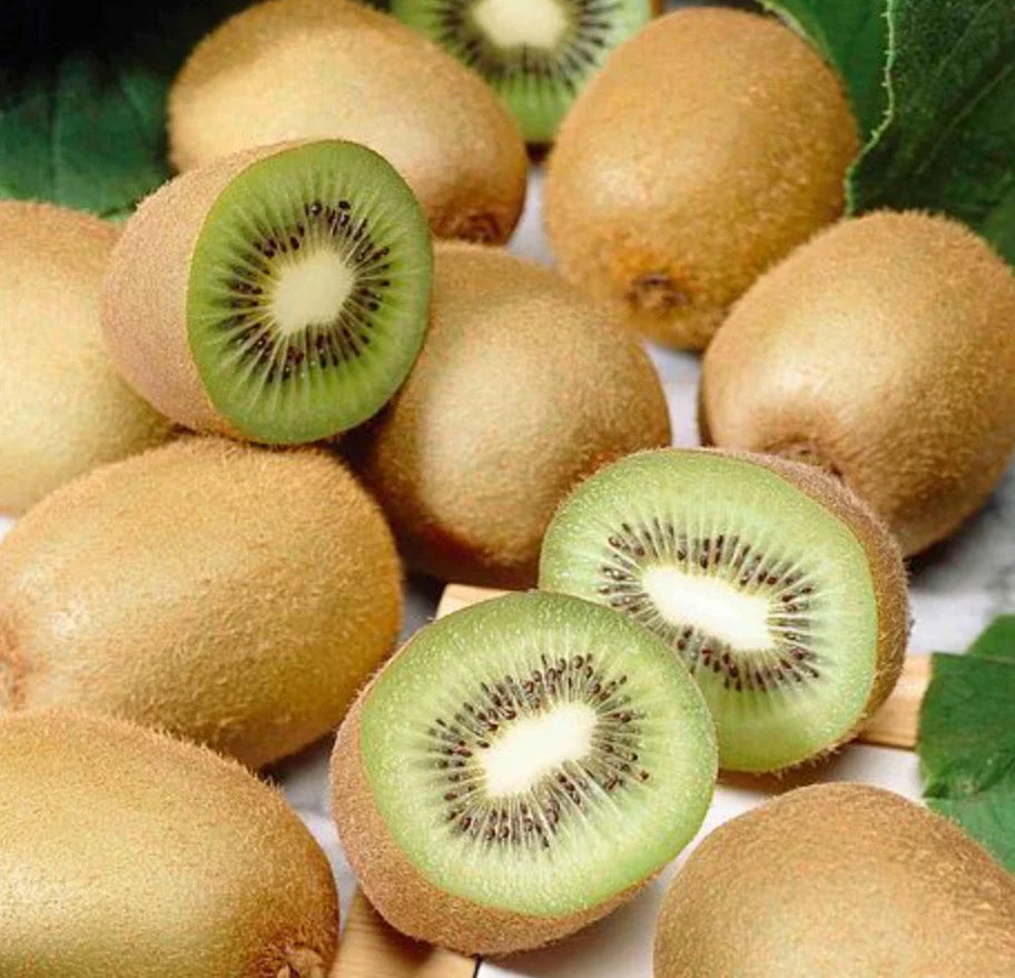 Set of 4 Live Prolific Kiwi Trees – 4–6" Tall – Soil-Wrapped Roots – Actinidia deliciosa