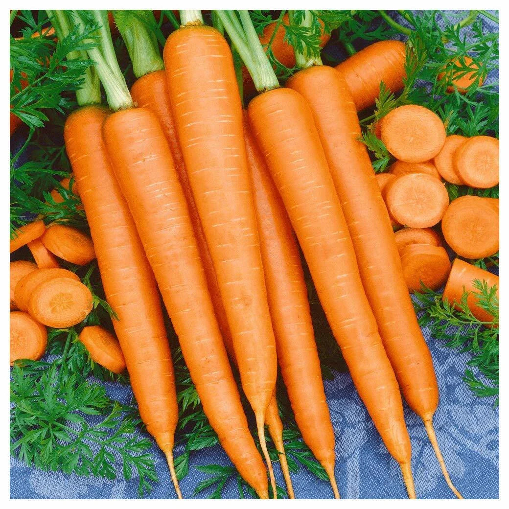 Tendersweet Carrot Seeds - Non-GMO, Beta Carotene, Vitamin A, Heirloom Variety, Garden Planting Seeds