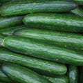 Heirloom Straight Eight Cucumber Seeds - Organic Non-GMO Vegetable Seeds - Fresh Gardening Supplies - Cucumis sativus