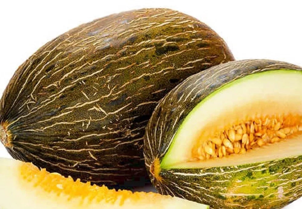 Piel de Sapo Melon Seeds | NON-GMO Heirloom | Fresh Garden Seeds | Cucumis melo