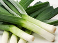 Heirloom Leek Seeds - 50 Pack, American Flag Variety - Allium ampeloprasum - Free USA Shipping