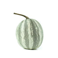 Silver-Edged Pumpkin Seeds - 25+ Pack for Garden Planting - Cucurbita pepo - USA Grown - Non-GMO