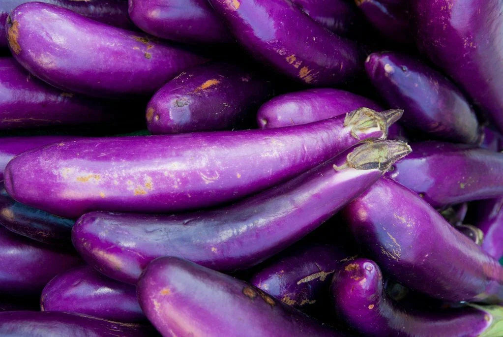 Long Purple Eggplant Seeds - 200+ Heirloom NON-GMO Vegetable Seeds for Garden - Solanum melongena