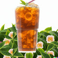 Tea Shrub Seeds - 5 Pack - Camellia sinensis - Black, White, Green Tea Leaf Plant