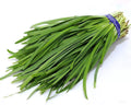 Chives Seeds 250 Count - Garlic Heirloom Variety - Allium tuberosum - GroCo USA - Ships Free