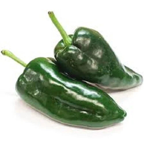 Poblano Hot Pepper Seeds - Organic Fresh Seeds - 1000 Scoville - Ancho Variety - Capsicum annuum