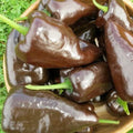 Mulato Isleno Pepper Seeds - 30+ Count - Chocolate Poblano Variety - Capsicum annuum - Free Shipping