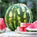 Crimson Sweet Watermelon Seeds | Heirloom Non-GMO | Organic Gardening | Citrullus lanatus