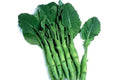 Big Stem Chinese Broccoli Seeds - Non-GMO Heirloom Variety - Brassica oleracea
