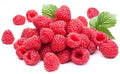 Red Raspberry Seeds - 200 Seeds - Delicious Variety - Rubus idaeus - Made in USA, Ships from Iowa