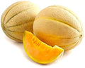 Honey Rock Melon Cantaloupe Seeds - 25 Non-GMO Seeds - Sweet Variety - Cucumis melo