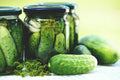Boston Pickling Cucumber Seeds - 50+ Non-GMO Heirloom Seeds - Fresh Cucumis sativus