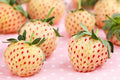 500 White Strawberry Seeds, Pineberry Variety, Non-GMO, Made in USA, Ships from Iowa