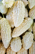 White Bitter Melon Seeds - 6 Pack for Planting - Bitter Gourd Melon - Momordica charantia