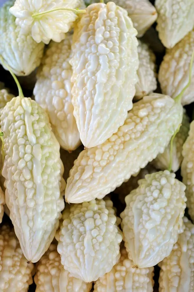 White Bitter Melon Seeds - 6 Pack for Planting - Bitter Gourd Melon - Momordica charantia