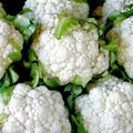 Snowball Cauliflower Seeds - 300+ Organic Heirloom Vegetable Seeds for Garden or Container (Brassica oleracea)