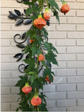 Tiger Eye Abutilon Flowering Maple Small Rooted Starter Plant - Abutilon hybridum Variegated Leaves, Yellow Blooms