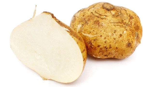 Jicama Seeds - 5 Heirloom Pachyrhizus Erosus - Rare Sweet & Crunchy Mexican Yam Bean