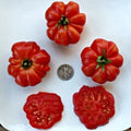 Costoluto Genevese Tomato Seeds - 25 Fresh Cooking Seeds - Heirloom Variety (Solanum lycopersicum)