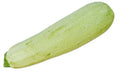 Lebanese Squash Seeds - 25+ Pack for Garden Planting - Cucurbita pepo - Non-GMO, USA Grown