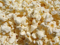 Purdue 305 Popcorn Seed - Non-GMO Fresh Seeds for Planting - Quality Popcorn Variety