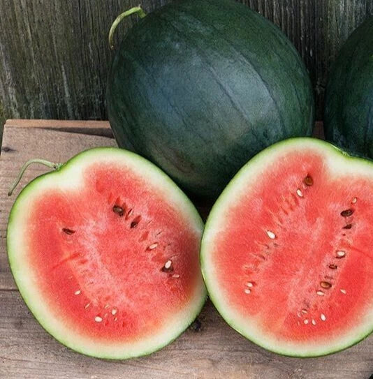 Fresh Sugar Baby Watermelon Seeds - 20 Count - Quality Heirloom Seeds for Home Gardening (Citrullus lanatus)