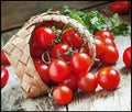 Dwarf Cherry Tomato Seeds | 100+ Seeds | High Yield | Solanum lycopersicum