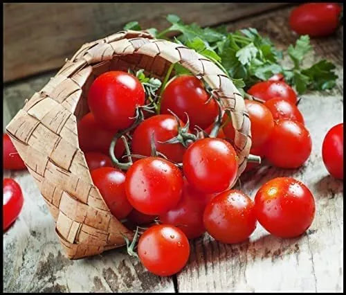 Dwarf Cherry Tomato Seeds | 100+ Seeds | High Yield | Solanum lycopersicum