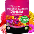 Zinnia Seeds for Planting - California Giants Flower Seeds, Bulk - Zinnia elegans