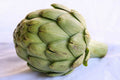Artichoke Seeds - 5 Pack - Heirloom Variety - Cynara scolymus - Free USA Shipping