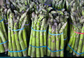 Asparagus Seeds - 100 Count - Mary Washington Variety - Asparagus officinalis
