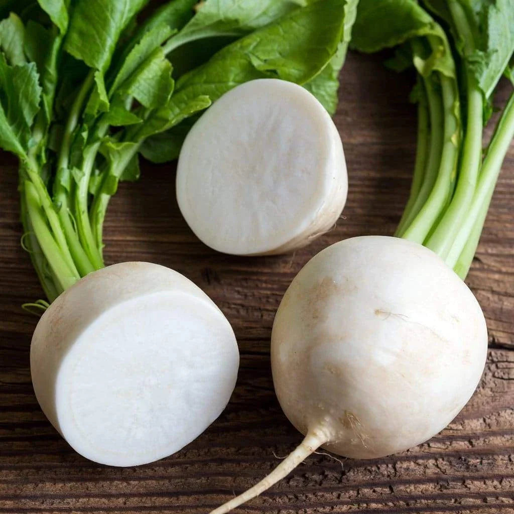 Hailstone White Radish Seeds 200 Ct Non-GMO Vegetable Garden Seeds Raphanus sativus