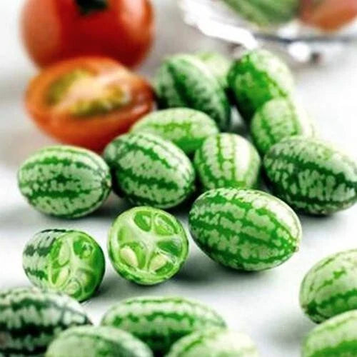 Organic Cucamelon Seeds - 20 Mini Watermelon Seeds - Non-GMO Melothria Scabra for Home Gardening