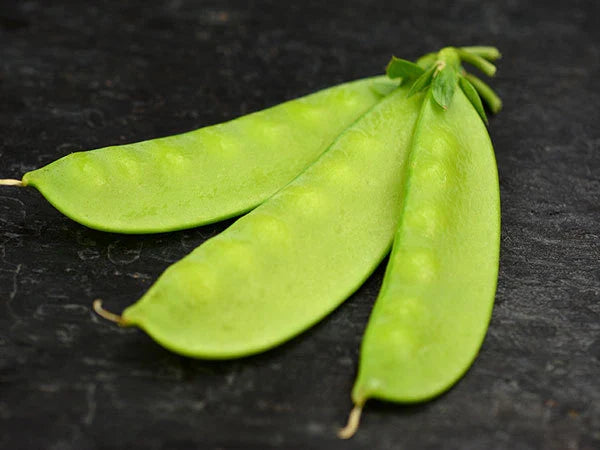 Mammoth Melting Sugar Pea Seeds - Fresh Garden Seeds for Planting - Pisum sativum - Non-GMO, Heirloom Variety