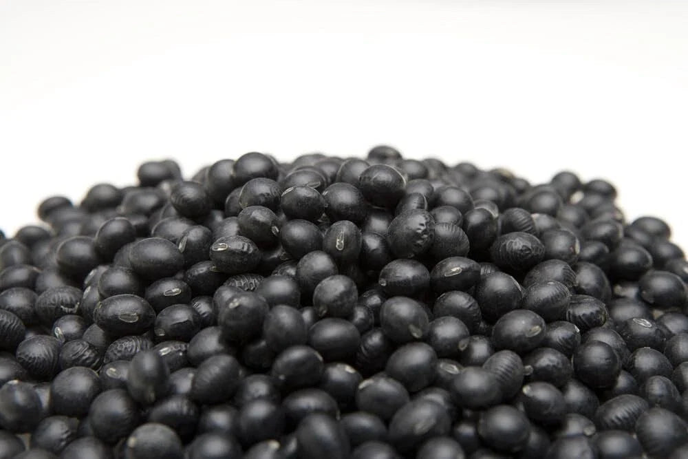Black Soybean Seeds - 1 lb - Non-GMO for Planting, Sprouts or Full Season, Glycine max
