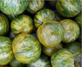 Green Zebra Tomato Seeds 50 Ct Heirloom NON-GMO Vegetable Garden Seeds (Solanum lycopersicum)