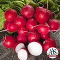 Premium Organic Cherry Belle Radish Seeds - Heirloom Variety for Fresh Garden Growth (Raphanus sativus)