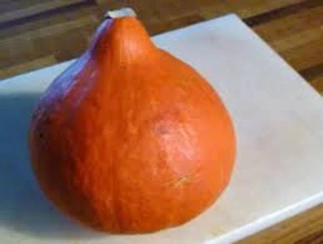 Red Kuri Hokkaido Squash Seeds - 25 Count - Japanese Heirloom - Stonysoil Seed Company - Cucurbita maxima