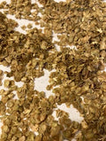 River Birch Tree Seeds - 50+ Fast Growing, Hardy Betula nigra with Stunning Fall Color
