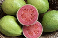 Mexican Pink Guava Seeds - 50 Rare Organic Non-GMO Seeds for Sweet Fruit Tree - Psidium guajava