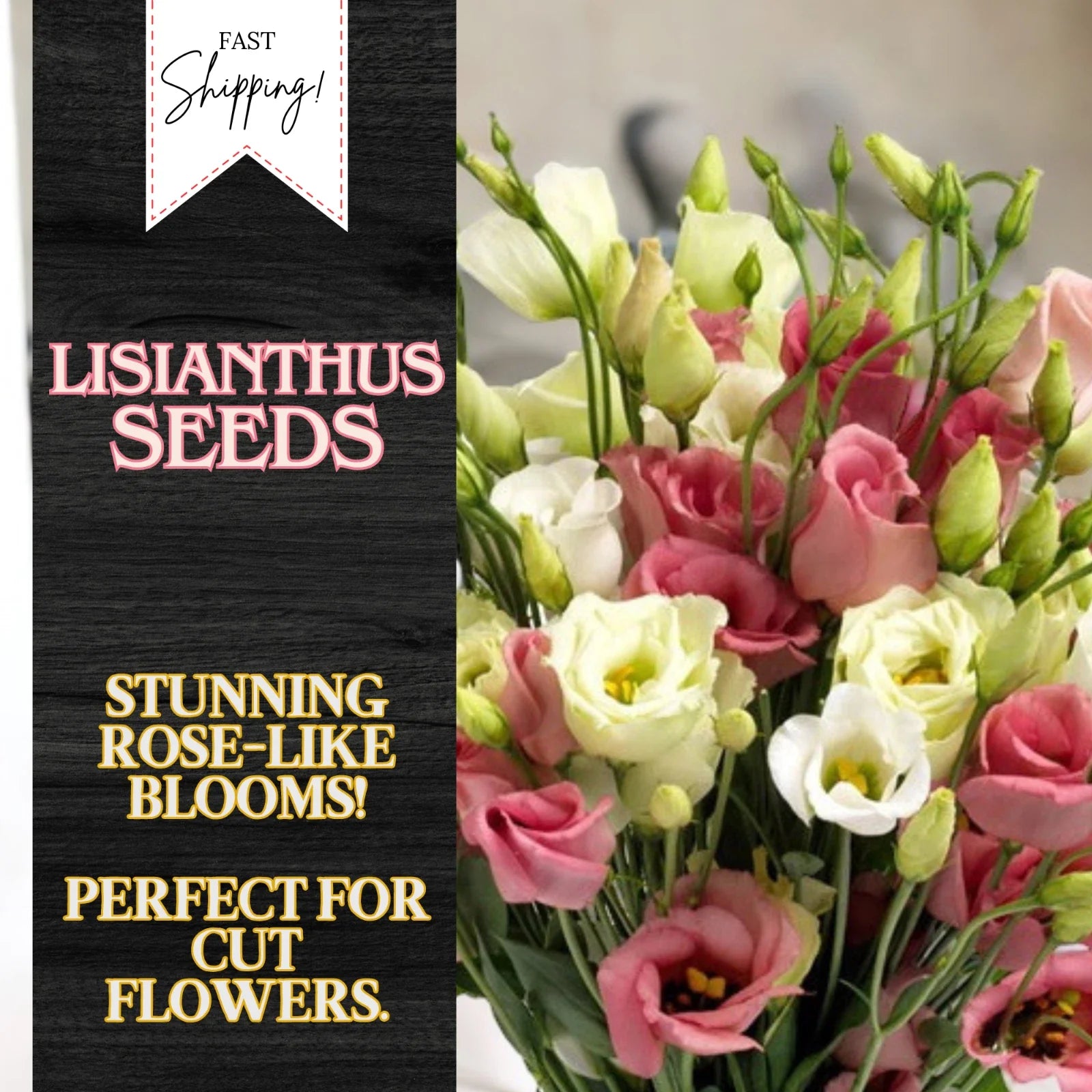 Lisianthus Seeds - 100 Non-GMO Heirloom Flower Seeds - Garden Bloom Variety (Eustoma grandiflorum)