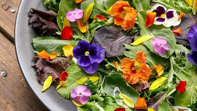 Edible Flower Seed Mix - 100 Organic Seeds - Colorful Varieties - USA Grown Edible Flowers