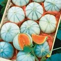 Melon Seeds for Planting - Heirloom Variety - Organic Cucumis melo - Non-GMO Garden Seeds for Home Gardening
