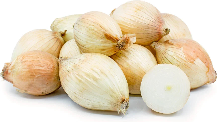 Maui Onion Seeds - 500+ Pack - Organic Garden Seeds - Allium macrostemon - USA Grown, Free Shipping