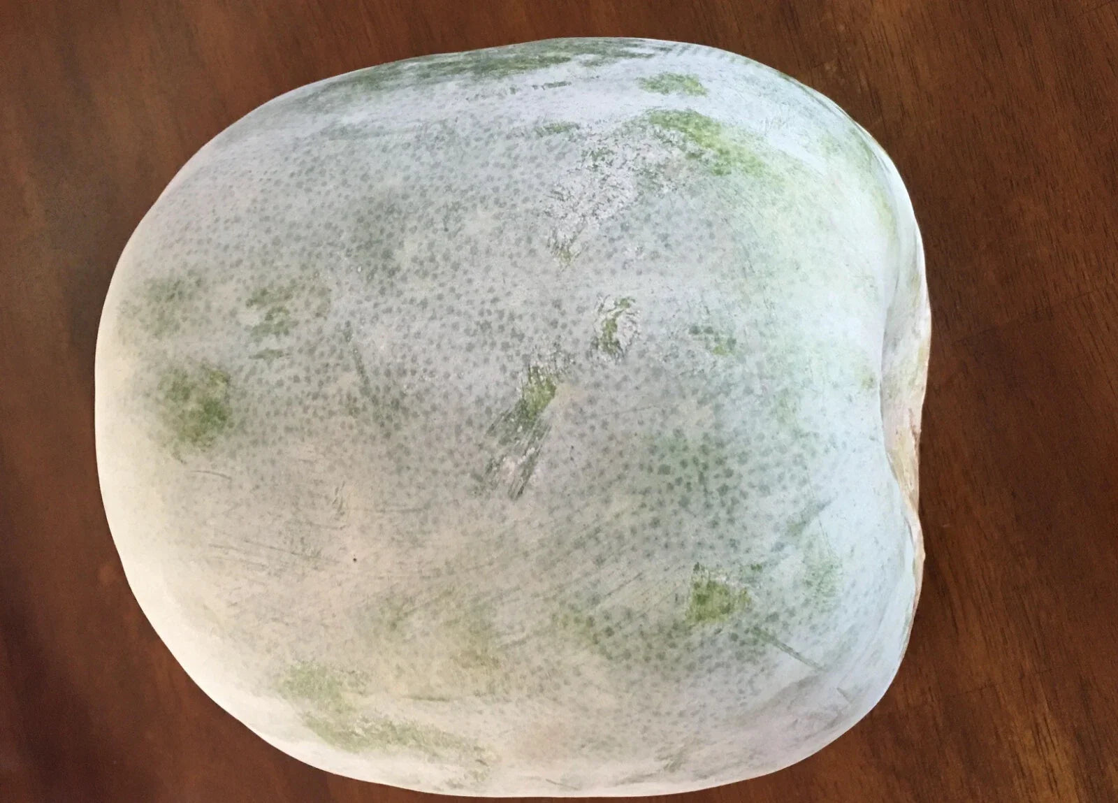 Wax Gourd Seeds - 20+ White Ash Gourd Winter Melon Dong Gua (Alu) Puhul - Heirloom Vegetable Seeds for USA Garden