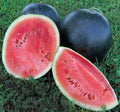 Black Diamond Watermelon Seeds - Fresh Heirloom Seeds for Planting - Citrullus lanatus