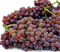2pcs Table Grape Vine Cuttings, Red & Purple, Vitis vinifera, Grow Your Own Champagne Grapes